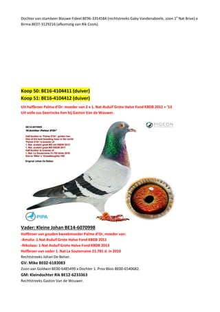Dochter van stambeer Blauwe Fideel BE96-3314584 (rechtstreeks Gaby Vandenabeele, zoon 1e
Nat Brive) x
Birma BE07-3129216 (afkomstig van Rik Cools).
Koop 50: BE16-4104411 (duiver)
Koop 51: BE16-4104412 (duiver)
Uit halfbroer Palma d’Or: moeder van 2 x 1. Nat Asduif Grote Halve Fond KBDB 2011 + ’13
Uit volle zus Geerinckx-hen bij Gaston Van de Wouwer.
Vader: Kleine Johan BE14-6070998
Halfbroer van gouden kweekmoeder Palme d’Or, moeder van:
-Amalia: 1.Nat Asduif Grote Halve Fond KBDB 2011
-Nikolaas: 1.Nat Asduif Grote Halve Fond KBDB 2013
Halfbroer van vader 1. Nat La Souterraine 21.781 d. in 2010
Rechtstreeks Johan De Belser.
GV: Mike BE02-6183083
Zoon van Goldwin BE00-6485499 x Dochter 1. Prov Blois BE00-6540682.
GM: Kleindochter Rik BE12-6233363
Rechtstreeks Gaston Van de Wouwer.
 