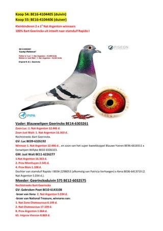 Koop 54: BE16-4104405 (duivin)
Koop 55: BE16-4104406 (duiver)
Kleinkinderen 2 x 1e
Nat Argenton-winnaars
100% Bart Geerinckx uit inteelt naar stamduif Rapido I
Vader: Blauwwitpen Geerinckx BE14-6303261
Zoon Luc: 1. Nat Argenton 12.446 d.
Zoon Just Wait: 1. Nat Argenton 16.363 d.
Rechtstreeks Bart Geerinckx.
GV: Luc BE09-6326192
Winnaar 1. Nat Argenton 12.446 d… en zoon van het super kweekkoppel Blauwe Yzeren BE96-6618311 x
Eenwitpen Willyke BE02-6506323.
GM: Just Wait BE11-6226277
1.Nat Argenton 16.363 d.
2. Prov Montluçon 2.545 d.
4. Prov Blois 1.108 d.
Dochter van stamduif Rapido I BE04-2298053 (afkomstig van Patricia Verhaegen) x Xena BE06-6413719 (2.
Nat Argenton 5.034 d.).
Moeder: Geerinckxduivin 575 BE12-6032575
Rechtstreeks Bart Geerinckx
GV: Gebroken Poot BE10-6143108
-broer van Xena: 2. Nat Argenton 5.034 d.
-broer van National Treasure, winnares van:
1. Nat Zone Chateauroux 6.149 d.
2. Nat Chateauroux 17.109 d.
8. Prov Argenton 1.064 d.
65. Intprov Vierzon 8.869 d.
 