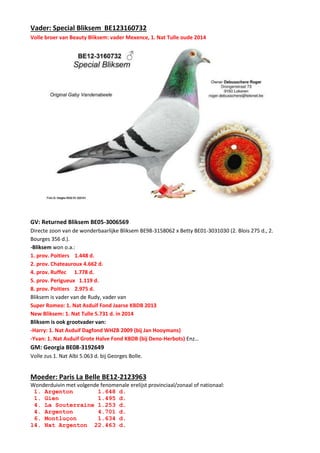 Vader: Special Bliksem BE123160732
Volle broer van Beauty Bliksem: vader Mexence, 1. Nat Tulle oude 2014
GV: Returned Bliksem BE05-3006569
Directe zoon van de wonderbaarlijke Bliksem BE98-3158062 x Betty BE01-3031030 (2. Blois 275 d., 2.
Bourges 356 d.).
-Bliksem won o.a.:
1. prov. Poitiers 1.448 d.
2. prov. Chateauroux 4.662 d.
4. prov. Ruffec 1.778 d.
5. prov. Perigueux 1.119 d.
8. prov. Poitiers 2.975 d.
Bliksem is vader van de Rudy, vader van
Super Romeo: 1. Nat Asduif Fond Jaarse KBDB 2013
New Bliksem: 1. Nat Tulle 5.731 d. in 2014
Bliksem is ook grootvader van:
-Harry: 1. Nat Asduif Dagfond WHZB 2009 (bij Jan Hooymans)
-Yvan: 1. Nat Asduif Grote Halve Fond KBDB (bij Deno-Herbots) Enz…
GM: Georgia BE08-3192649
Volle zus 1. Nat Albi 5.063 d. bij Georges Bolle.
Moeder: Paris La Belle BE12-2123963
Wonderduivin met volgende fenomenale erelijst provinciaal/zonaal of nationaal:
1. Argenton 1.648 d.
1. Gien 1.495 d.
4. La Souterraine 1.253 d.
4. Argenton 4.701 d.
6. Montluçon 1.634 d.
14. Nat Argenton 22.463 d.
 