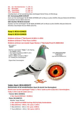 43. La Souterraine 7.176 d.
60. Bourges 3.324 d.
68. Issoudun 2.168 d.
200 Issoudun 5.670 d.
Inteeltproduct uit het wonderbaarlijke stamkoppel Daniel Parijs uit Ottenburg:
GV: Zomerjong BE09-2195197
Zoon van het stamkoppel ‘De 90’ BE04-2079090 (zelf uit Blauw Louike 224/96 x Blauwe Dekonink 647/03) x
Geschelpte Horizon BE05-2251715.
GM: Dochter 90 BE10-2152159
Dochter van het stamkoppel ‘De 90’ BE04-2079090 (zelf uit Blauw Louike 224/96 x Blauwe Dekonink
647/03) x Geschelpte Horizon BE05-2251715.
Koop 5: BE16-4104625
Koop 6: BE16-4104626
Kinderen uit broer 1e
Nat Gueret 14.362 d. in 2011
Kinderen uit broer 1e
Prov Tours 1.670 d.
Kinderen uit broer van moeder Super Romeo: 1e
Nat Asduif Fond YL KBDB 2013
Vader: Geert BE14-4033177
Rechtstreeks uit de wonderkwekers Geert & Annick Van Renterghem
Directe zoon van het superkoppel ‘Tsaby 1’ x ‘Kim 2’ (volle zus Kim 1) bij G & A. Vanrenterghem.
Tsaby 1 x Kim 1 zijn de ouders van o.a.
- ‘Verona’ (BE11-4245831)
1. Nat. Gueret (550 km) – 14.262 d.
- ‘Nicky’ (09-4280727)
Moeder ‘Super Romeo’
1. Nat. Asduif Fond KBDB Yearlings 2013 bij Gaby Vandenabeele
1. Blois (410 km) – 378 d. / 14. I.prov. 5.142 d.
7. Blois (410 km) – 365 d. / 16. I.prov. 4.094 d.
7. Tours (450 km) – 235 d. / 10. I.prov. 2.257 d.
 
