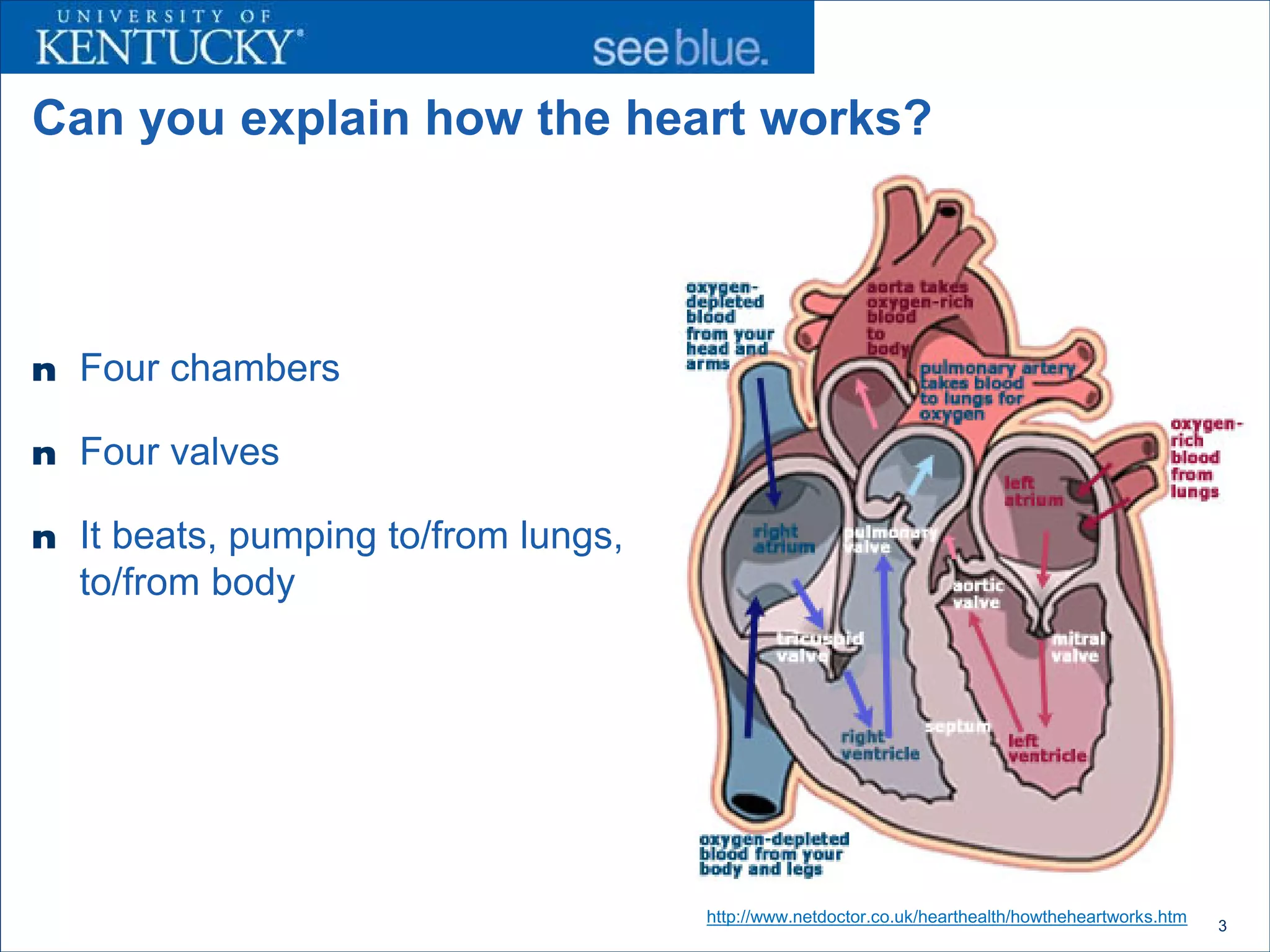 Can you explain how the heart works?



n Four chambers

n Four valves

n It beats, pumping to/from lungs,
  to/from body




                                     http://www.netdoctor.co.uk/hearthealth/howtheheartworks.htm   3
 