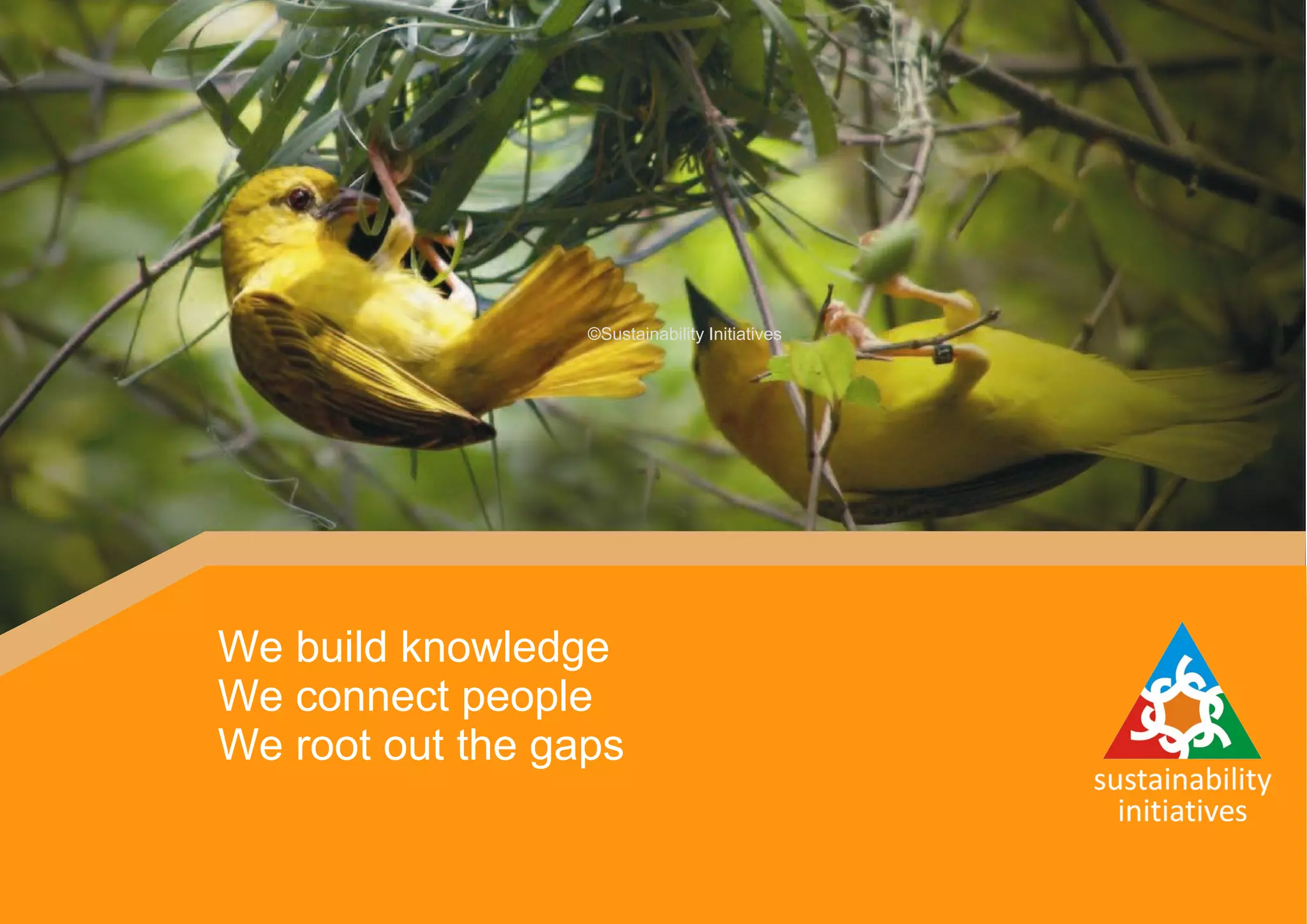 We build knowledge
We connect people
We root out the gaps
©Sustainability Initiatives
 