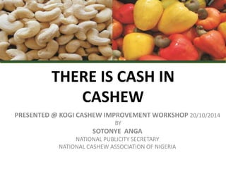 THERE IS CASH IN 
CASHEW 
PRESENTED @ KOGI CASHEW IMPROVEMENT WORKSHOP 20/10/2014 
BY 
SOTONYE ANGA 
NATIONAL PUBLICITY SECRETARY 
NATIONAL CASHEW ASSOCIATION OF NIGERIA 
 