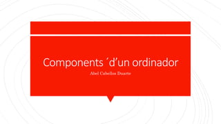 Components ´d’un ordinador
Abel Cabellos Duarte
 