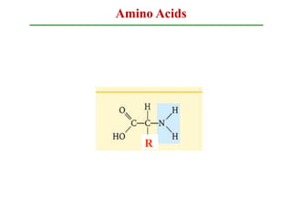 Amino Acids
R
 