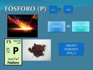 GRUPO
FOSFATO
(PO4
3-)
ENERGÍA
INTERCAMBIO
ATP
0,11 0,64
 