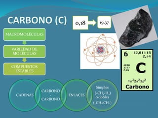 0,18 19,37
MACROMOLÉCULAS
VARIEDAD DE
MOLÉCULAS
COMPUESTOS
ESTABLES
CADENAS
CARBONO
-
CARBONO
ENLACES
Simples
(-CH2-H2)
o dobles
(-CH=CH-)
 