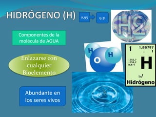 Componentes de la
molécula de AGUA
Enlazarse con
cualquier
Bioelemento
Abundante en
los seres vivos
0,95 9,31
 