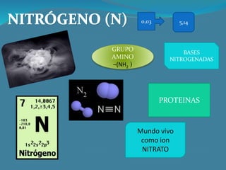 GRUPO
AMINO
–(NH2 )
PROTEINAS
Mundo vivo
como ion
NITRATO
0,03 5,14
BASES
NITROGENADAS
 