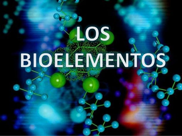 clasificacion de los bioelementos primarios