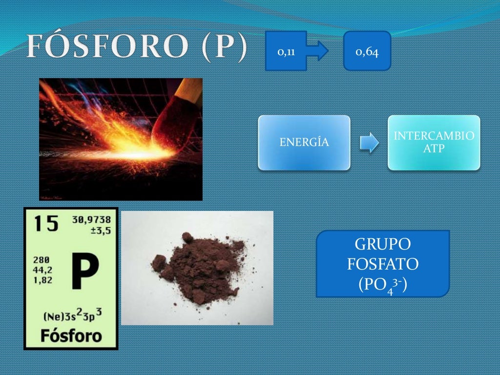 clasificacion de los bioelementos primarios