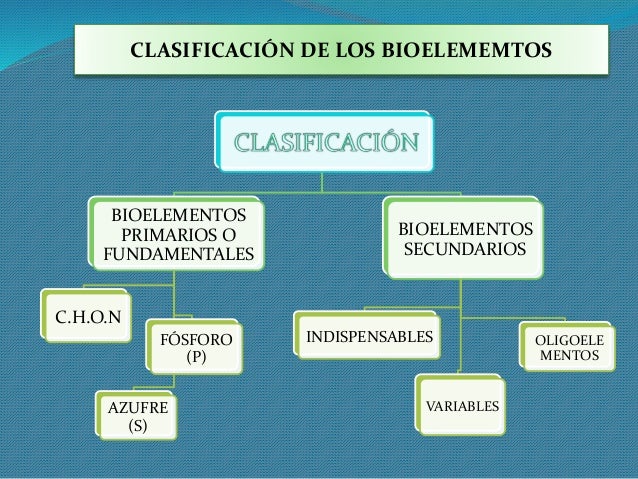 clasificacion de los bioelementos primarios