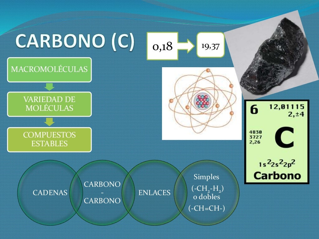 clasificacion de los bioelementos primarios