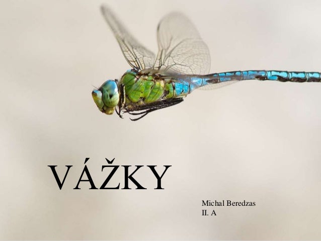 VÁŽKY Michal Beredzas
II. A
 