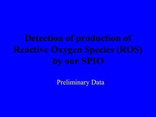 Detection of production of
Reactive Oxygen Species (ROS)
by our SPIO
Preliminary Data
 