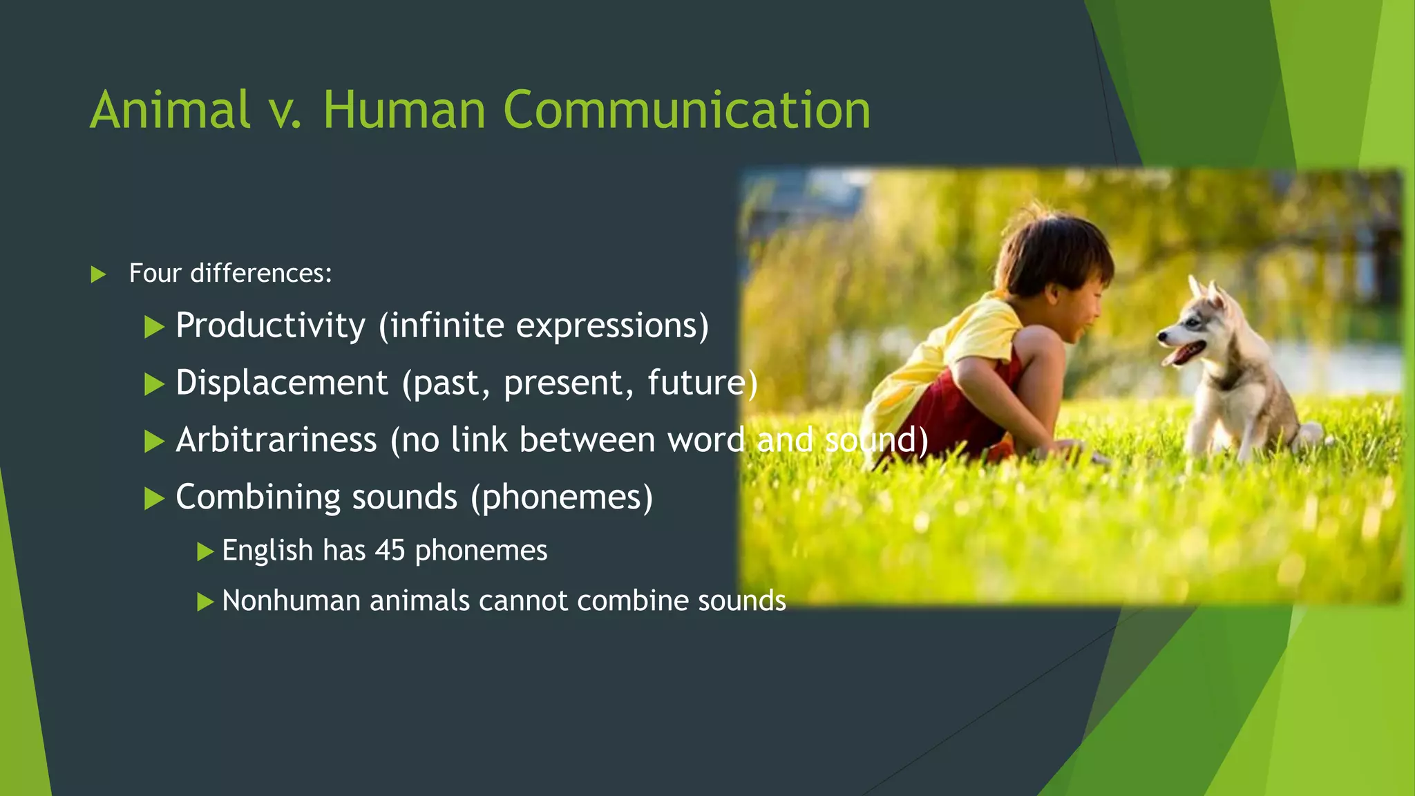 Animal v. Human Communication
 Four differences:
 Productivity (infinite expressions)
 Displacement (past, present, future)
 Arbitrariness (no link between word and sound)
 Combining sounds (phonemes)
 English has 45 phonemes
 Nonhuman animals cannot combine sounds
 