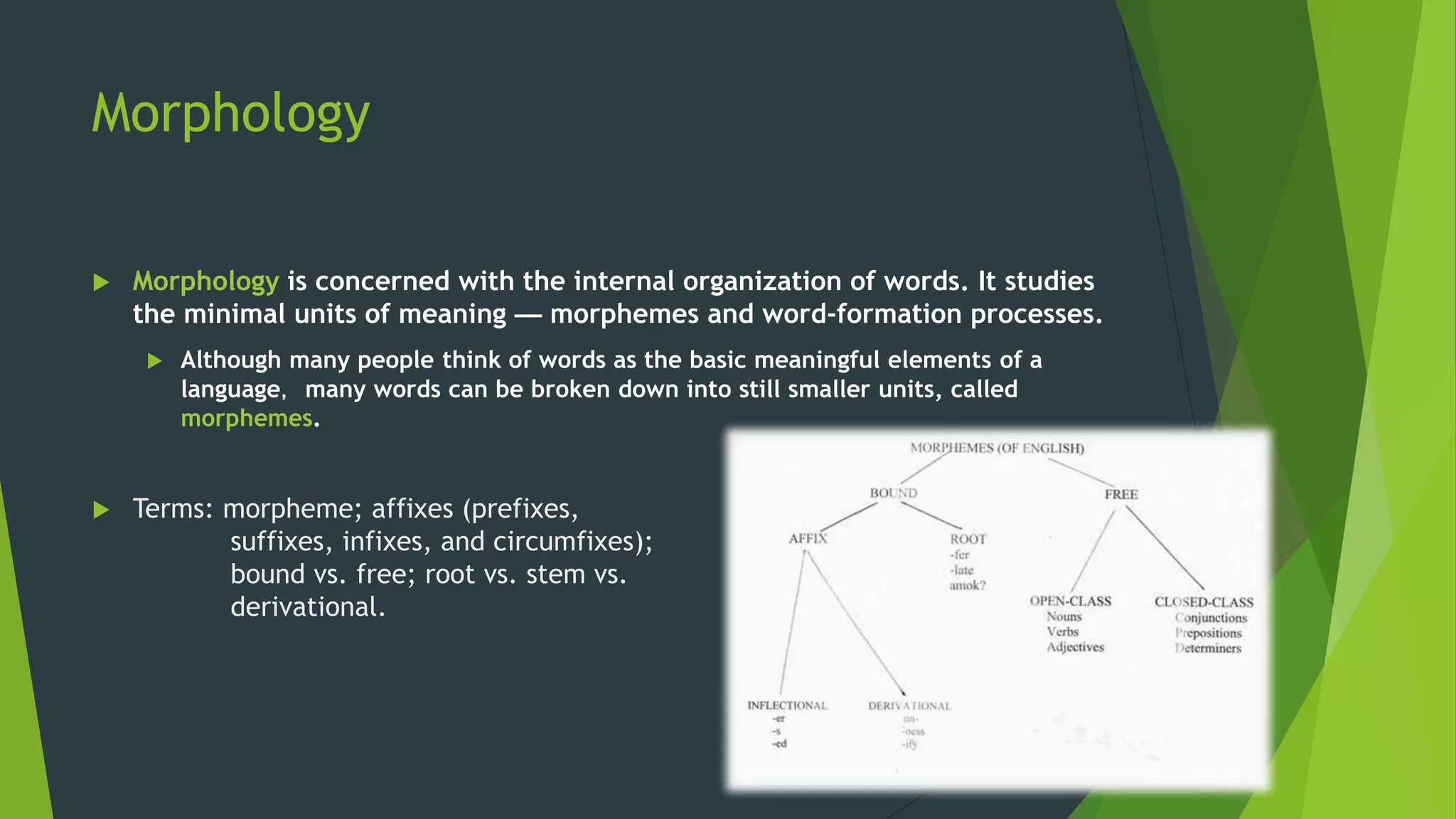 Morphology
 Morphology is concerned with the internal organization of words. It studies
the minimal units of meaning — morphemes and word-formation processes.
 Although many people think of words as the basic meaningful elements of a
language，many words can be broken down into still smaller units, called
morphemes.
 Terms: morpheme; affixes (prefixes,
suffixes, infixes, and circumfixes);
bound vs. free; root vs. stem vs.
derivational.
 