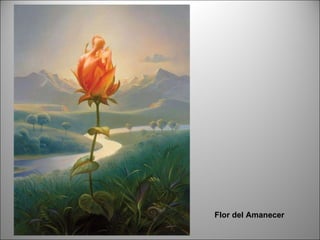 Flor del Amanecer 