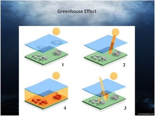 Greenhouse Effect  