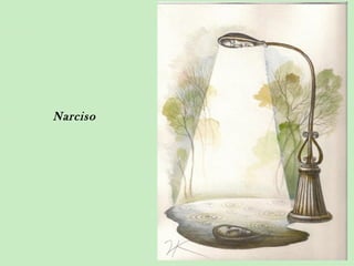 Narciso
 
