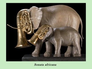 Sonata africana
 