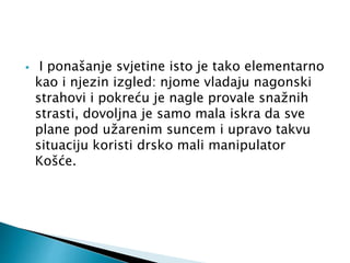  I ponašanje svjetine isto je tako elementarno 
kao i njezin izgled: njome vladaju nagonski 
strahovi i pokreću je nagle provale snažnih 
strasti, dovoljna je samo mala iskra da sve 
plane pod užarenim suncem i upravo takvu 
situaciju koristi drsko mali manipulator 
Košće. 
 