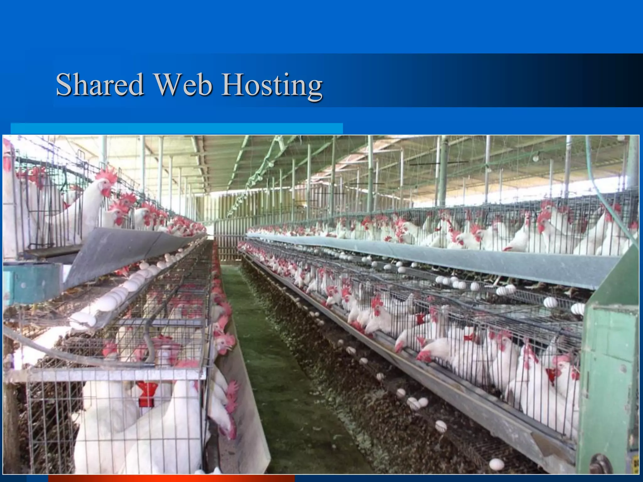 Shared Web Hosting 
3  