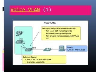 Voice VLAN (1)
 