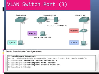 VLAN Switch Port (3)
 