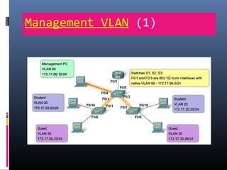 Management VLAN (1)
 