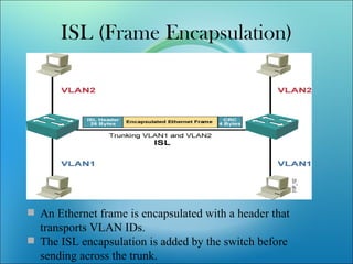 Vlan | PPT