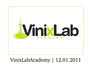 VinixLabAcademy | 12.01.2011 