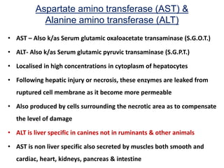 Liver Function Tests in Context to Veterinary Practice | PPT