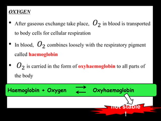 OXYGEN
• After gaseous exchange take place, 𝑂2 in blood is transported
to body cells for cellular respiration
• In blood, 𝑂2 combines loosely with the respiratory pigment
called haemoglobin
• 𝑂2 is carried in the form of oxyhaemoglobin to all parts of
the body
Haemoglobin + Oxygen Oxyhaemoglobin
not stable
!
 