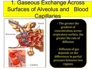1. Gaseous Exchange Across
Surfaces of Alveolus and Blood
Capillaries
- The greater the
gradient of
concentration across
respiratory surface, the
greater the rate of
diffusion
- Diffusion of gas
depends on the
differences in partial
pressure between two
regions
 