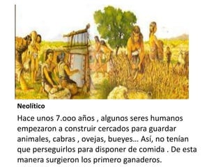 Poblado
Neolítico
Hace unos 7.ooo años , algunos seres humanos
empezaron a construir cercados para guardar
animales, cabras , ovejas, bueyes… Así, no tenían
que perseguirlos para disponer de comida . De esta
manera surgieron los primero ganaderos.
 