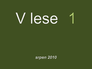 V lese 1 - srpen 2010 (in the forest)