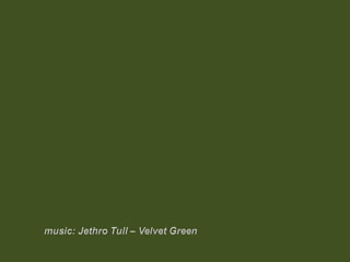 V lese 1 - srpen 2010 (in the forest)