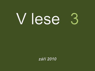 V lese 3 - zari 2010 (in the forest) 