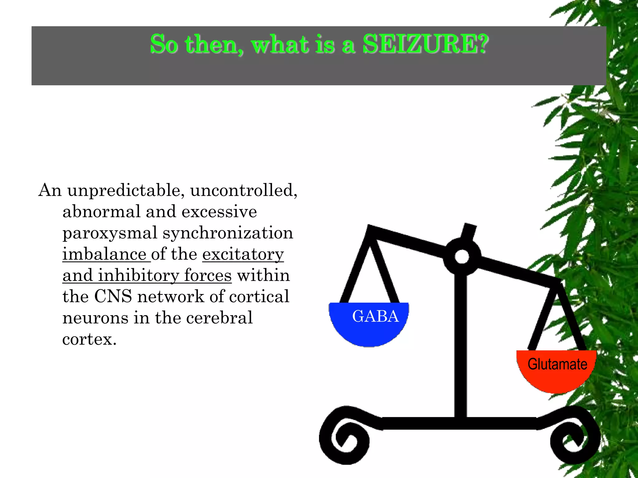 GABA
Glutamate
So then, what is a SEIZURE?
An unpredictable, uncontrolled,
abnormal and excessive
paroxysmal synchronization
imbalance of the excitatory
and inhibitory forces within
the CNS network of cortical
neurons in the cerebral
cortex.
 