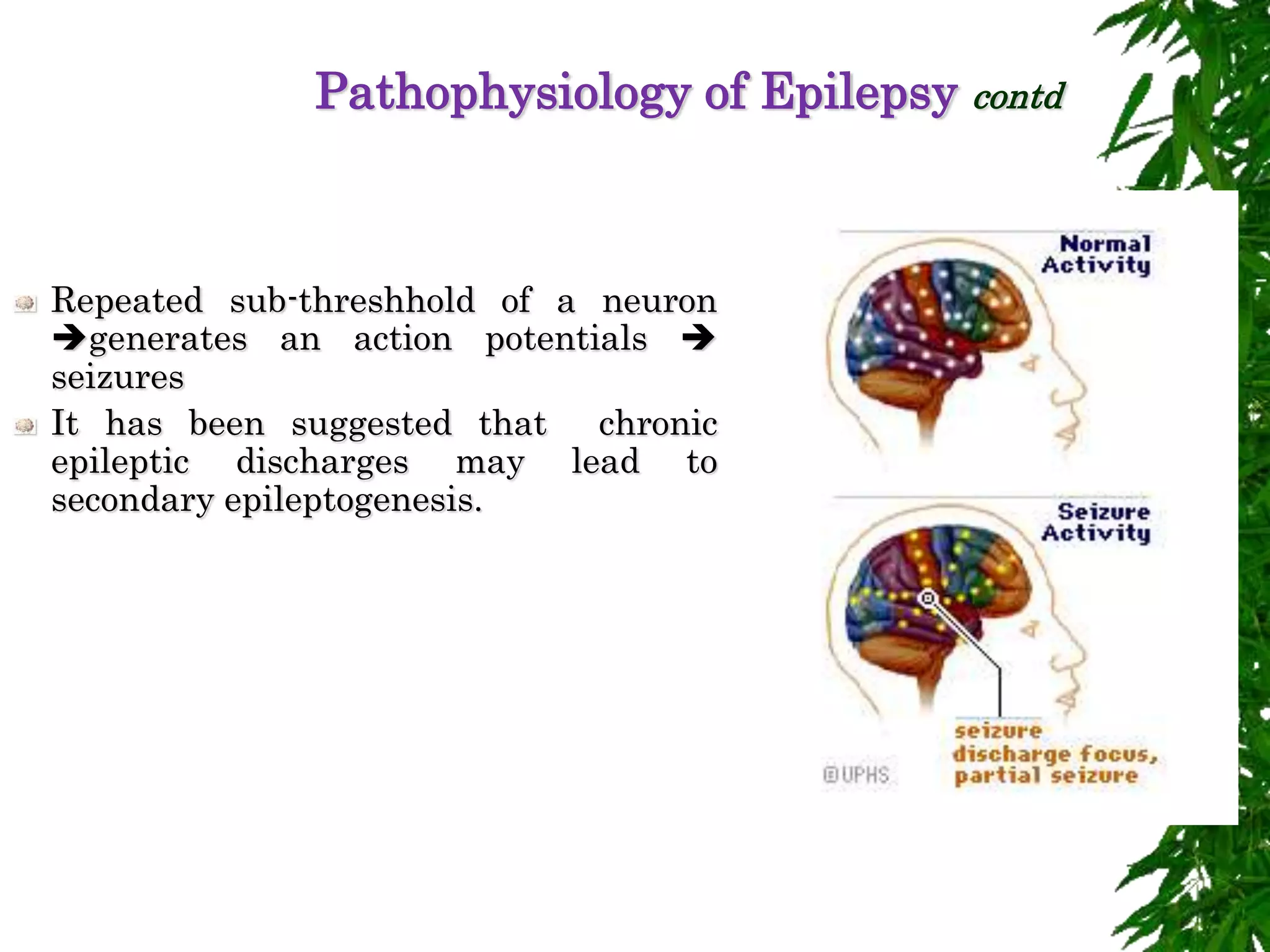 Pathophysiology of Epilepsy contd
Repeated sub-threshhold of a neuron
generates an action potentials 
seizures
It has been suggested that chronic
epileptic discharges may lead to
secondary epileptogenesis.
 