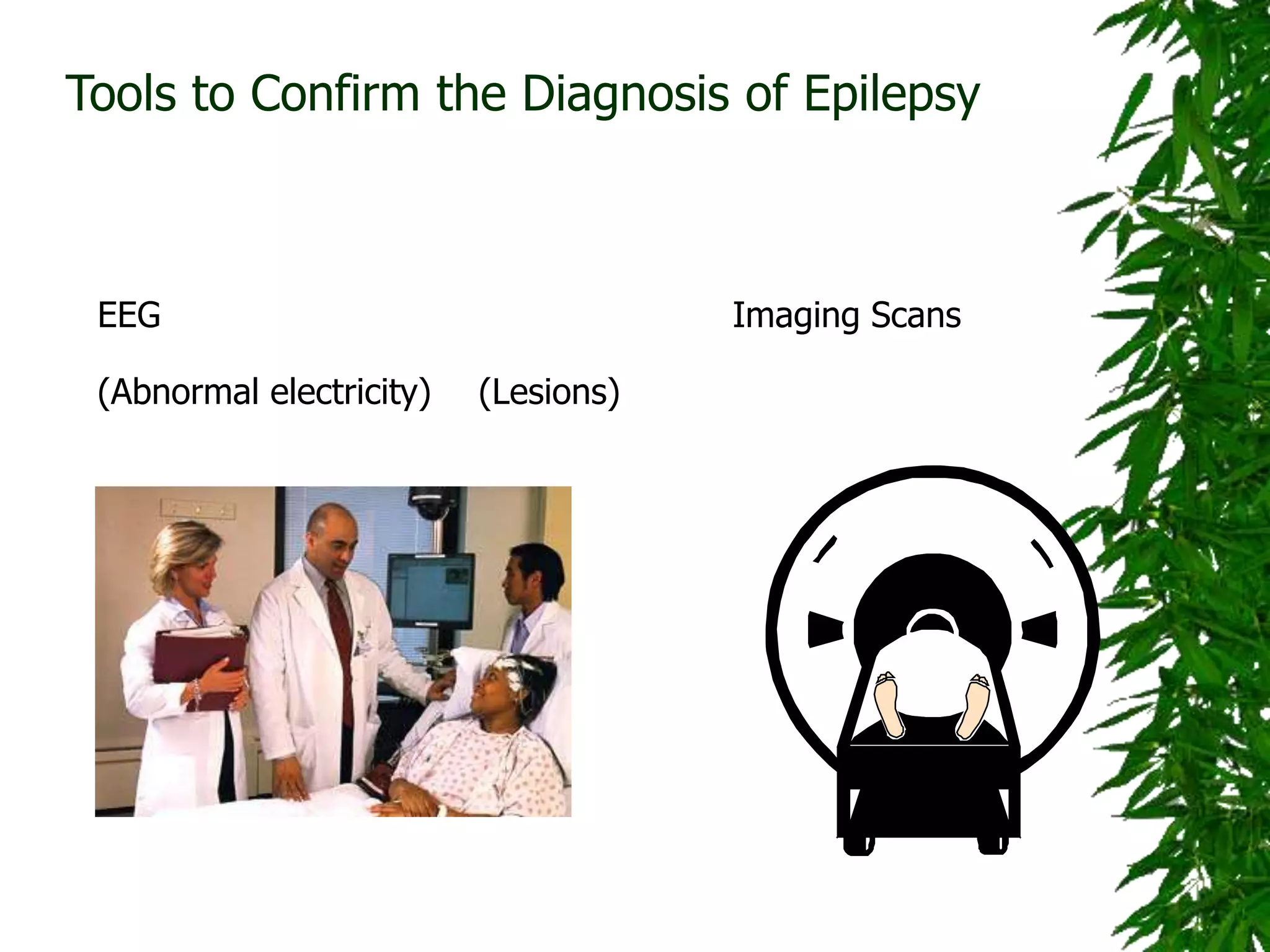 Tools to Confirm the Diagnosis of Epilepsy
EEG Imaging Scans
(Abnormal electricity) (Lesions)
 