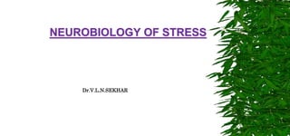 NEUROBIOLOGY OF STRESS
Dr.V.L.N.SEKHAR
 