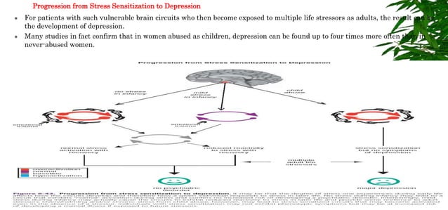 neurobiology of stress | PPTX | Brain and Nervous System Disorders ...