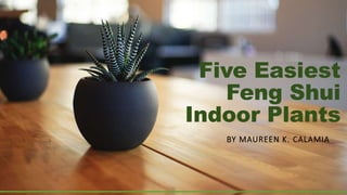 Five Easiest
Feng Shui
Indoor Plants
BY MAUREEN K. CALAMIA
 