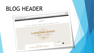 BLOG HEADER
 