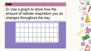 STOP!
Q: Use a graph to show how the
amount of cellular respiration you do
changes throughout the day.
 