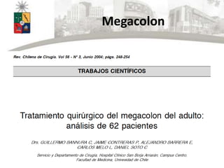 Megacolon
 