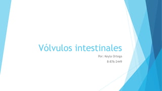 Vólvulos intestinales
Por: Keyla Ortega
8-876-2449
 