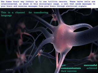 The human brain may contain up to one trillion neurons. These nerve cells are
interconnected, as shown in this microscopic image. a cell that sends messages to
your brain and receives messages from your brain through electrical signals
This is a channel for transferring
language
how successful
communicators achieved
their success
8/24/2016
 